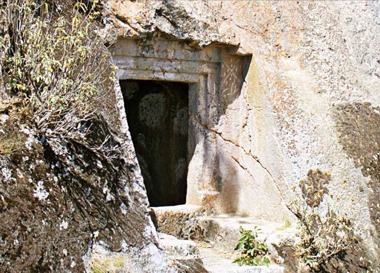 görüntü
