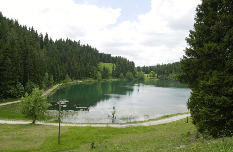 görüntü