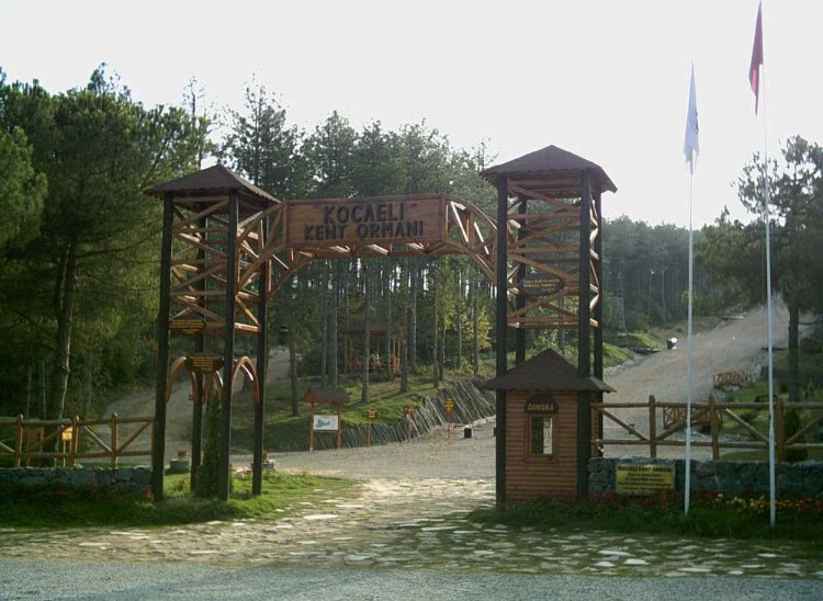 görüntü