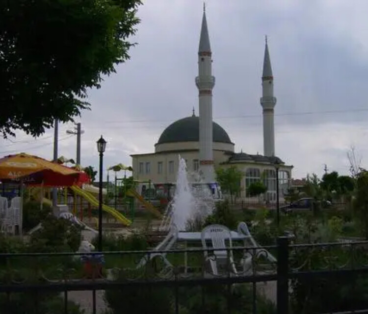 görüntü