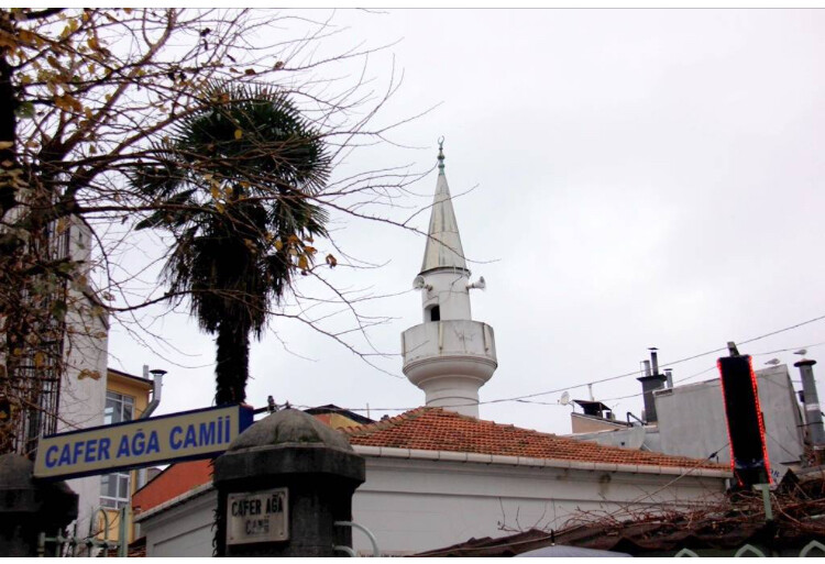 görüntü