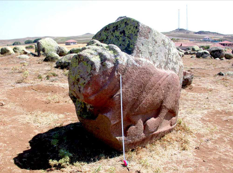 görüntü