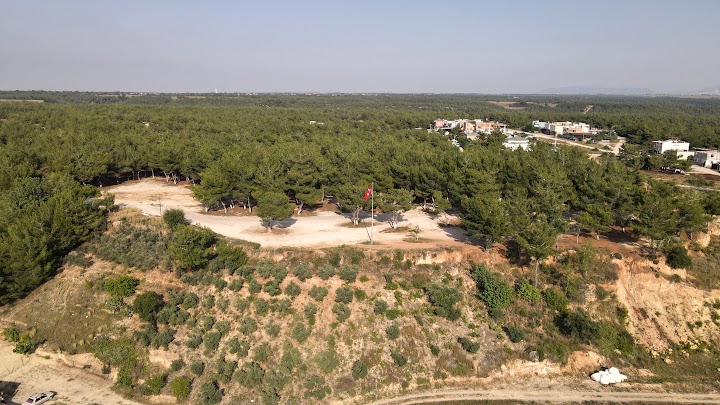 dji_fly_20230617_172758_727_1687012085181_photo
