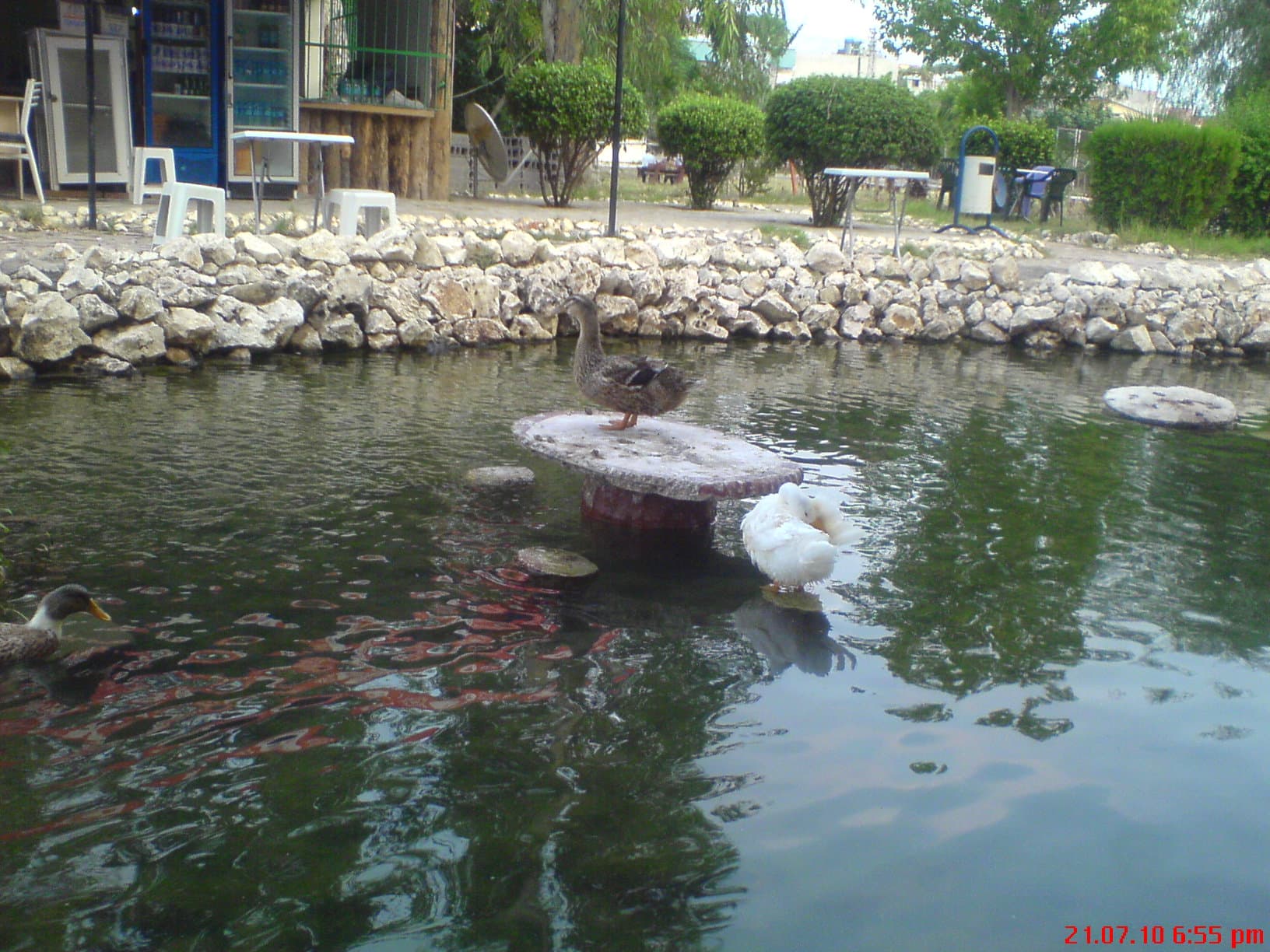 DSC00055