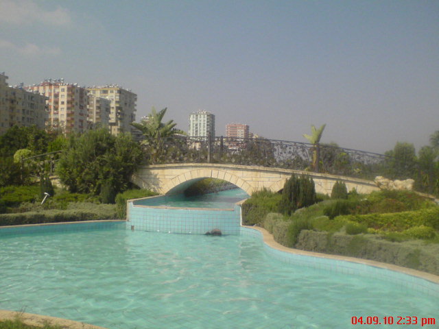 DSC00153