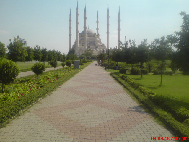 DSC00165