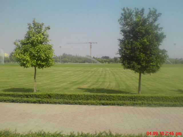 DSC00166