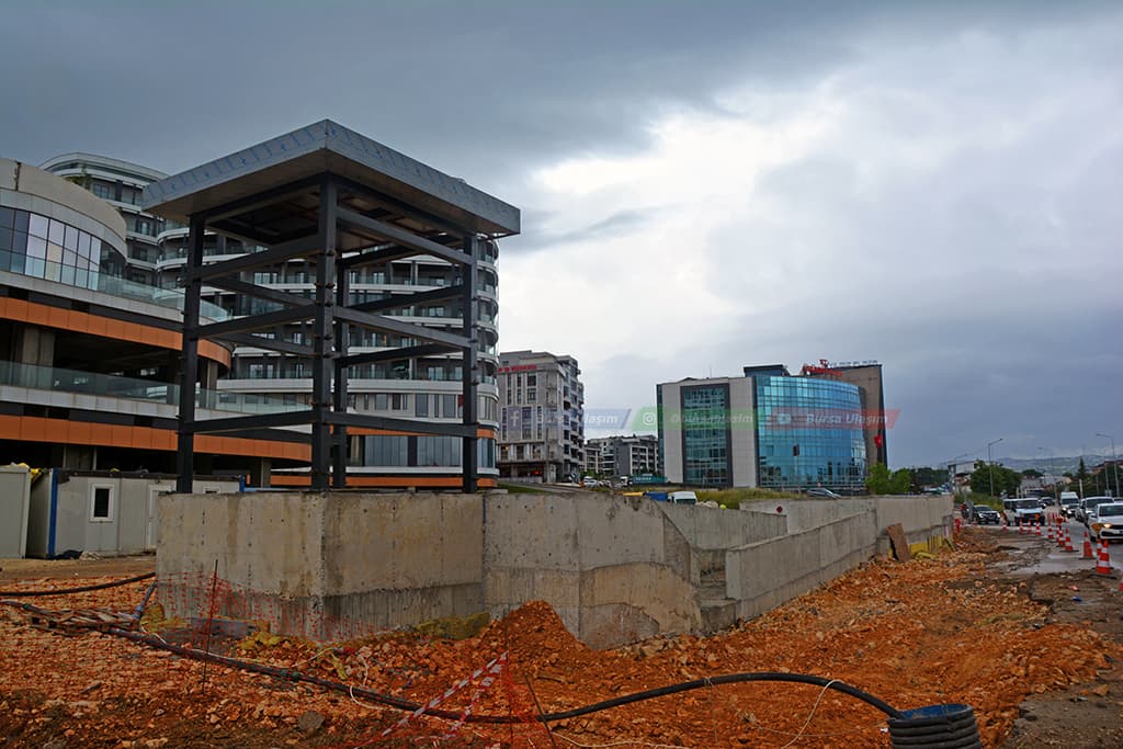 DSC_10595