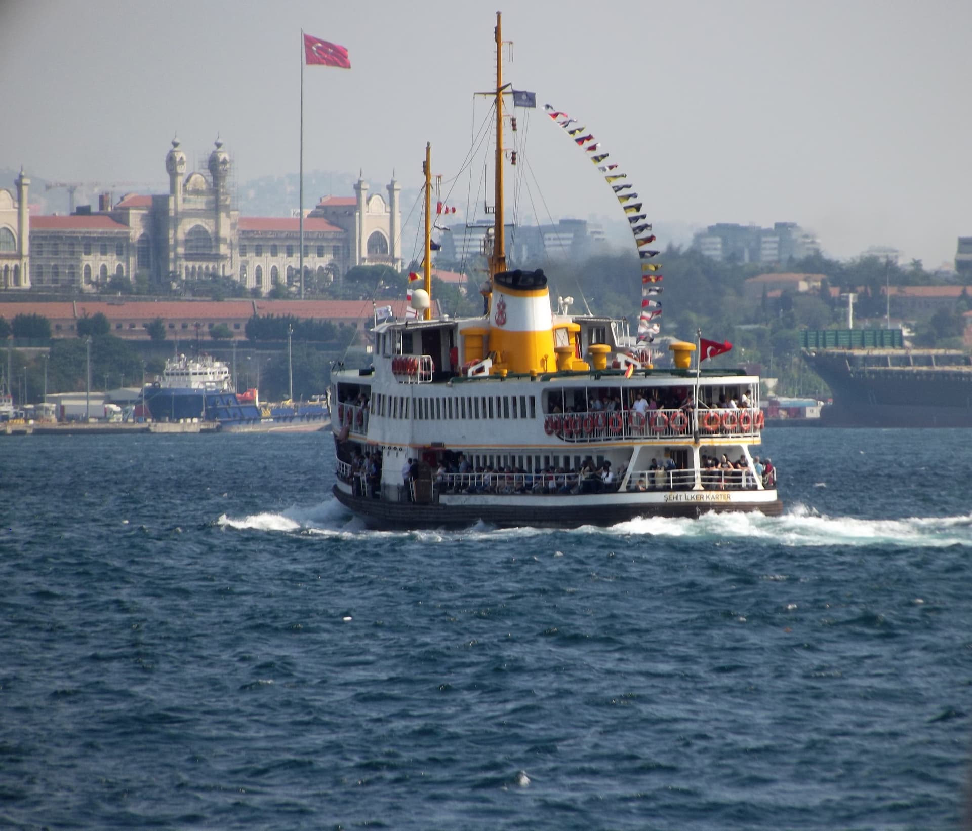 DSCF10236-01