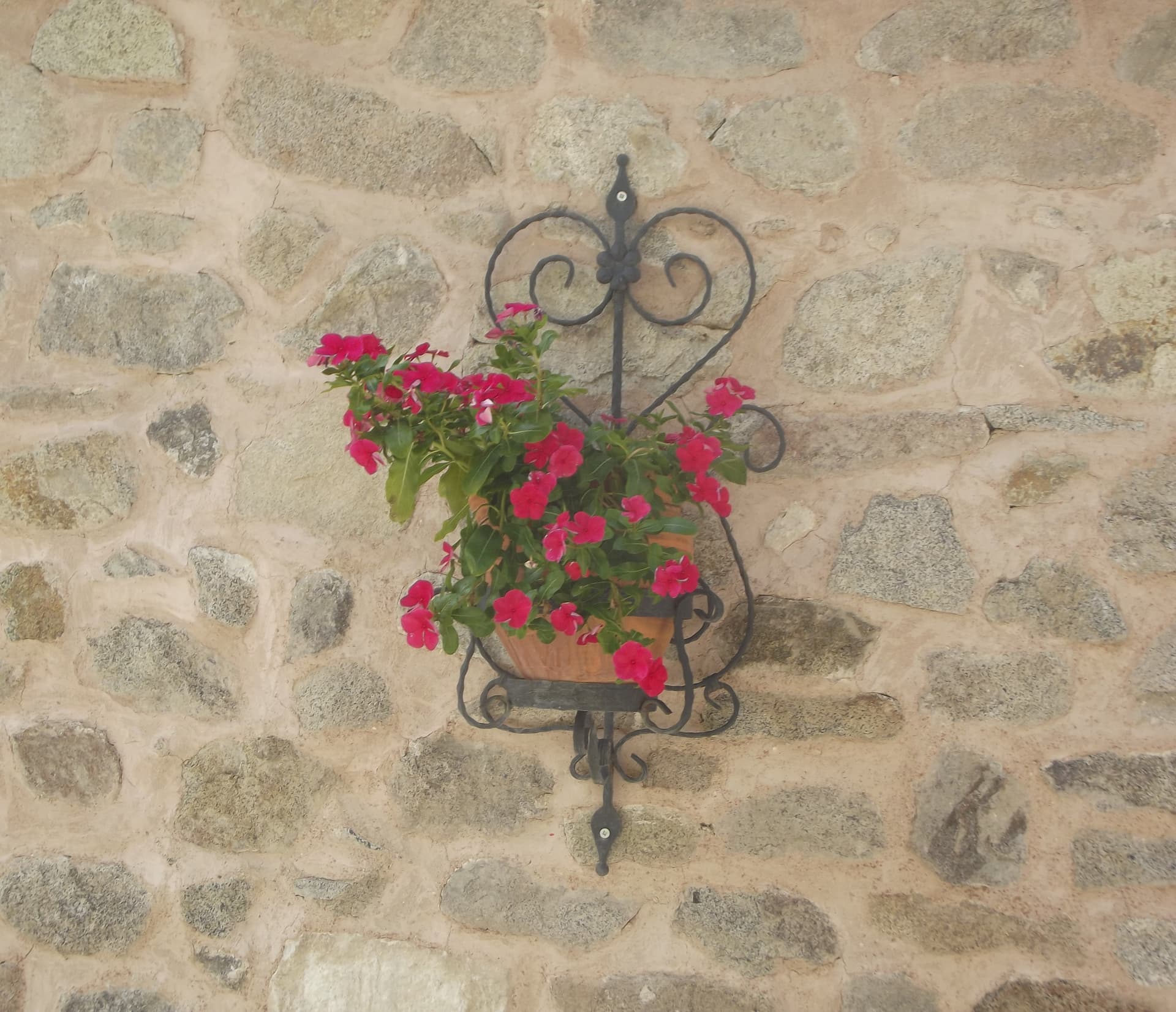 DSCF6435-01