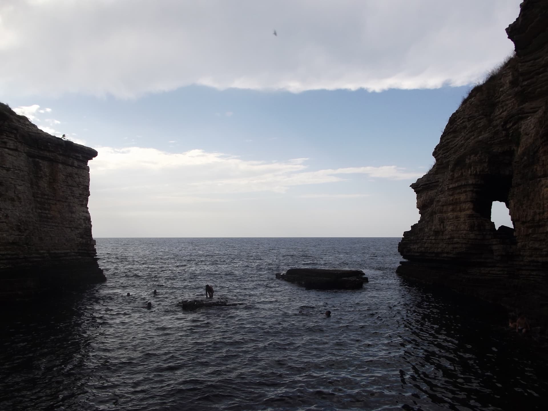 DSCF6654