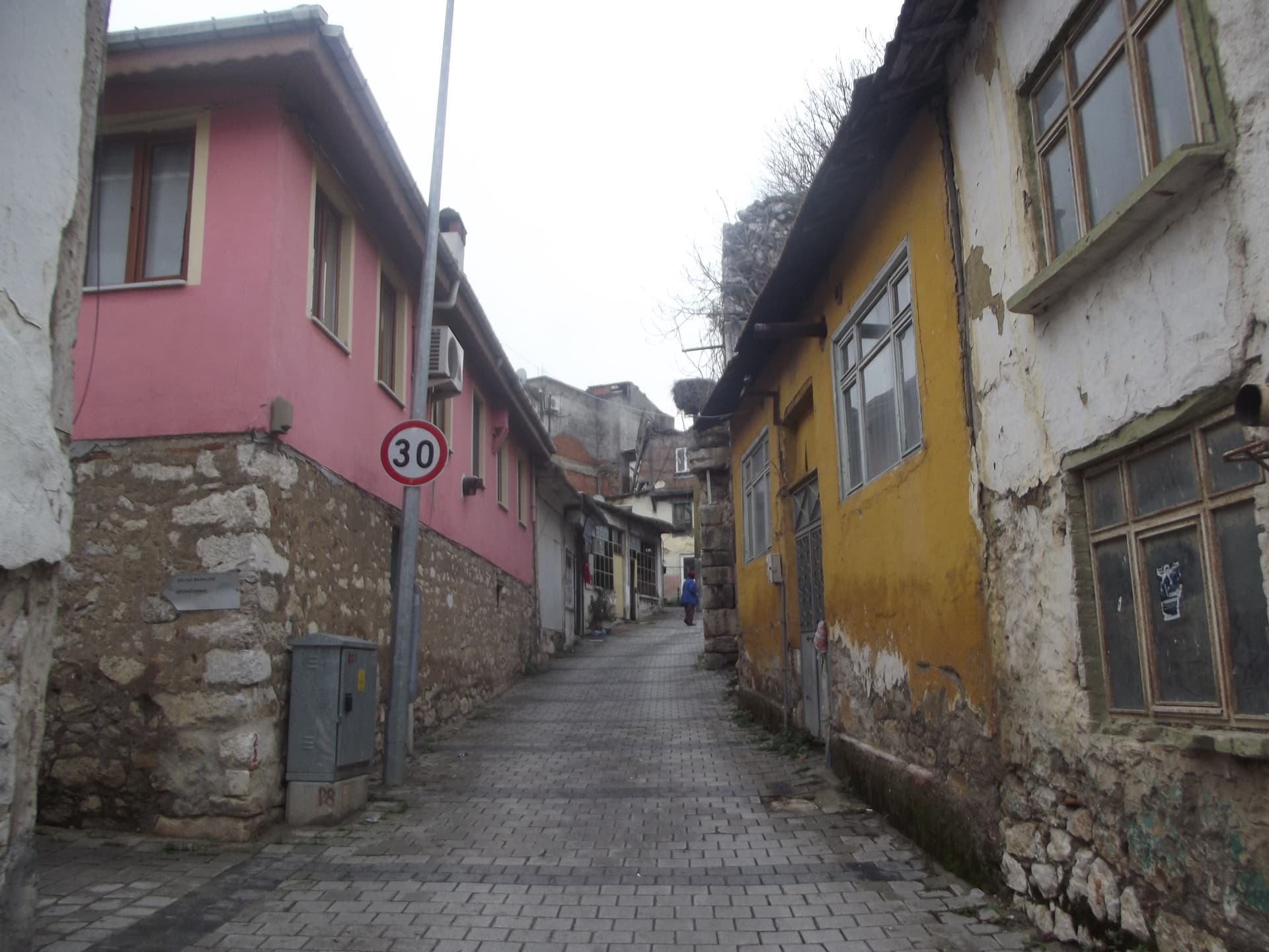 DSCF7578