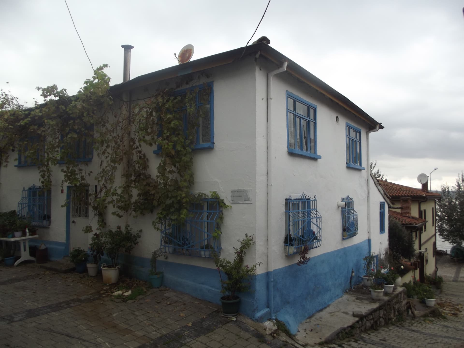 DSCF7580