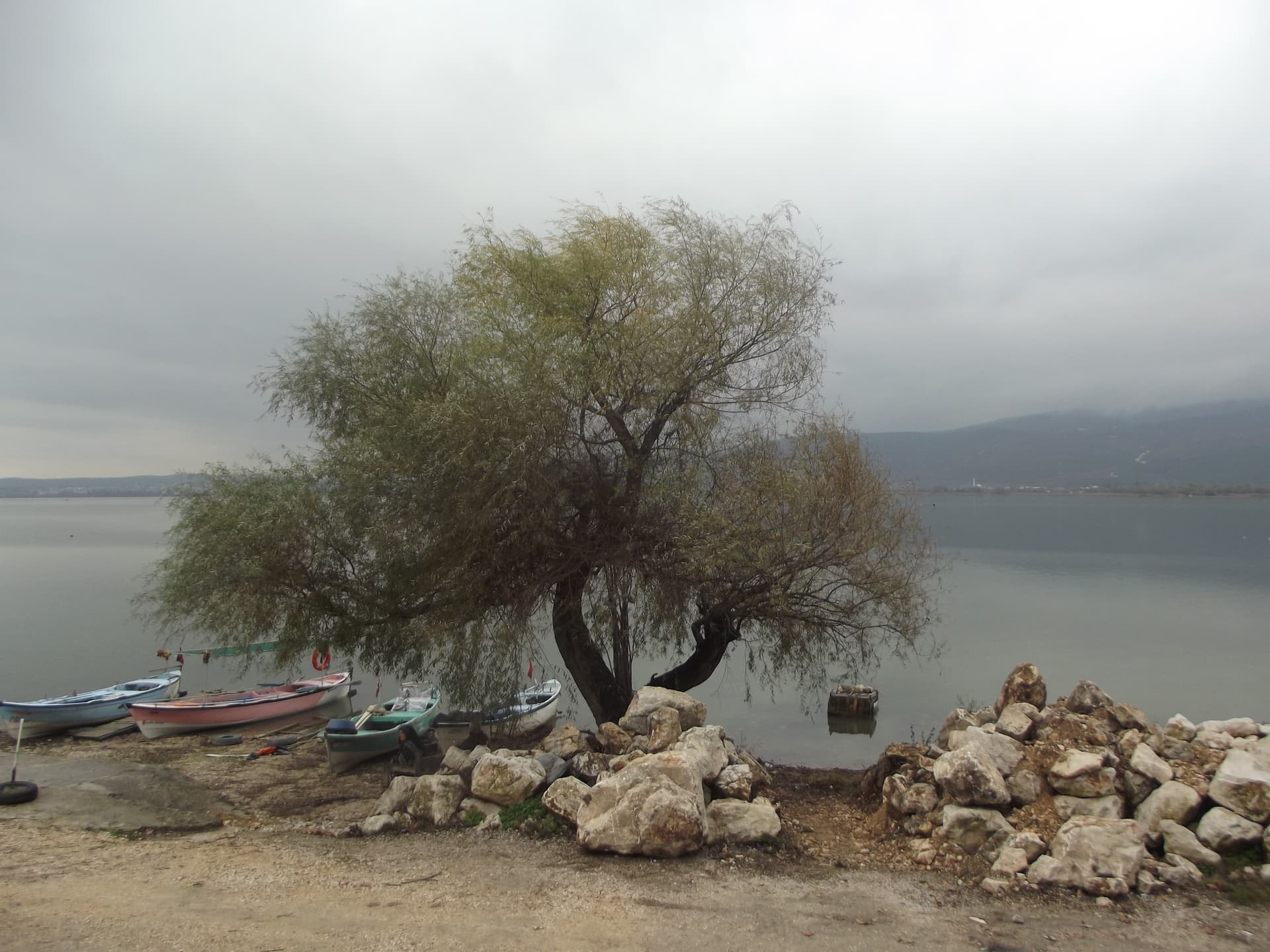 DSCF7583