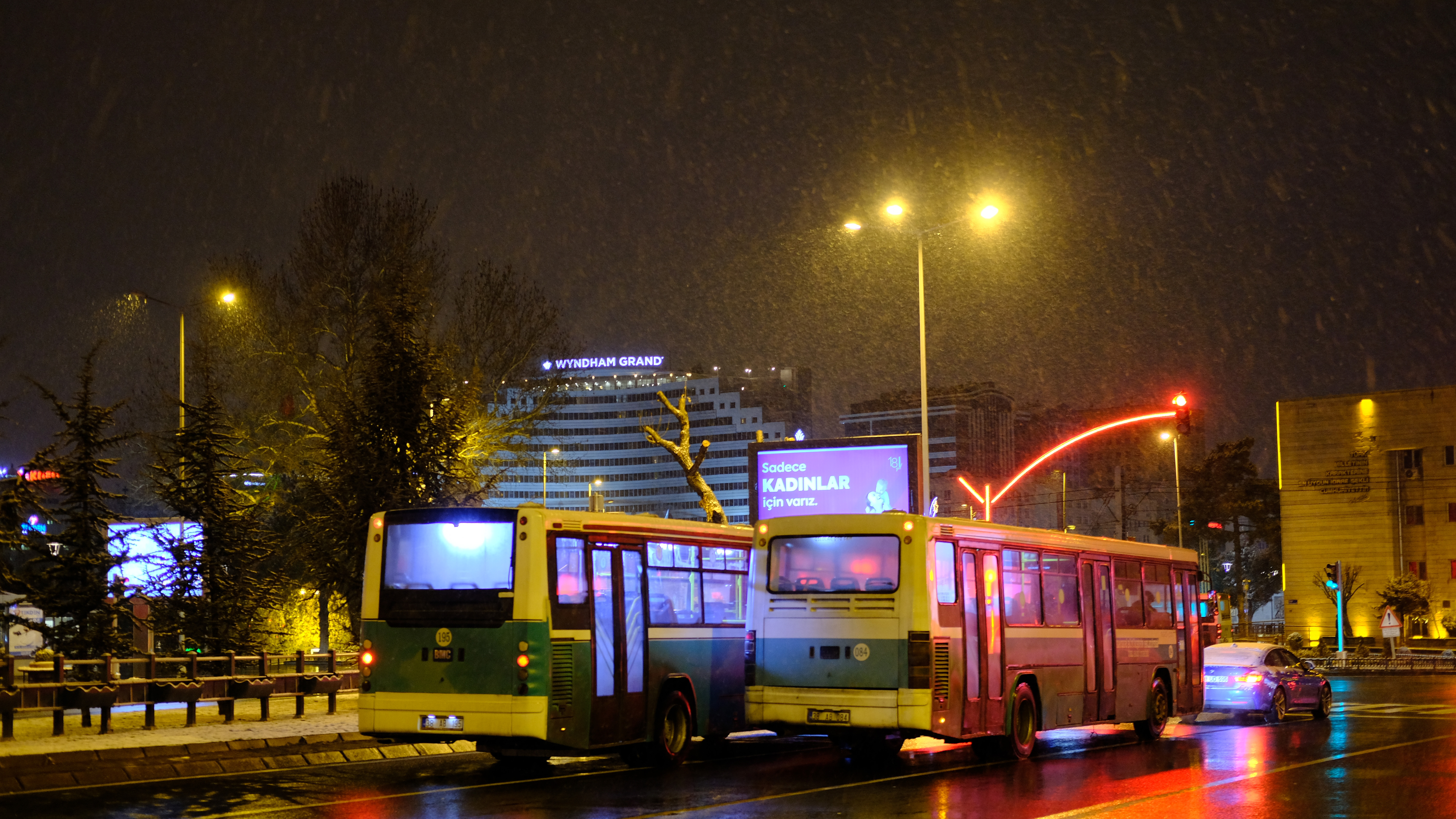 DSCF7733.jpg