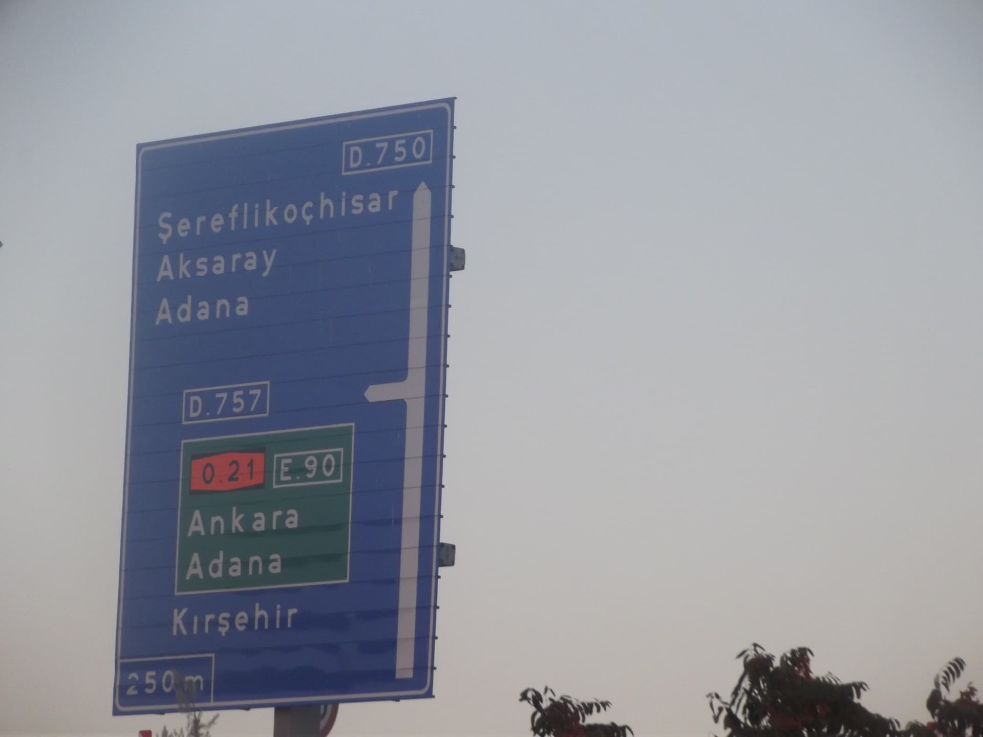 DSCF7929