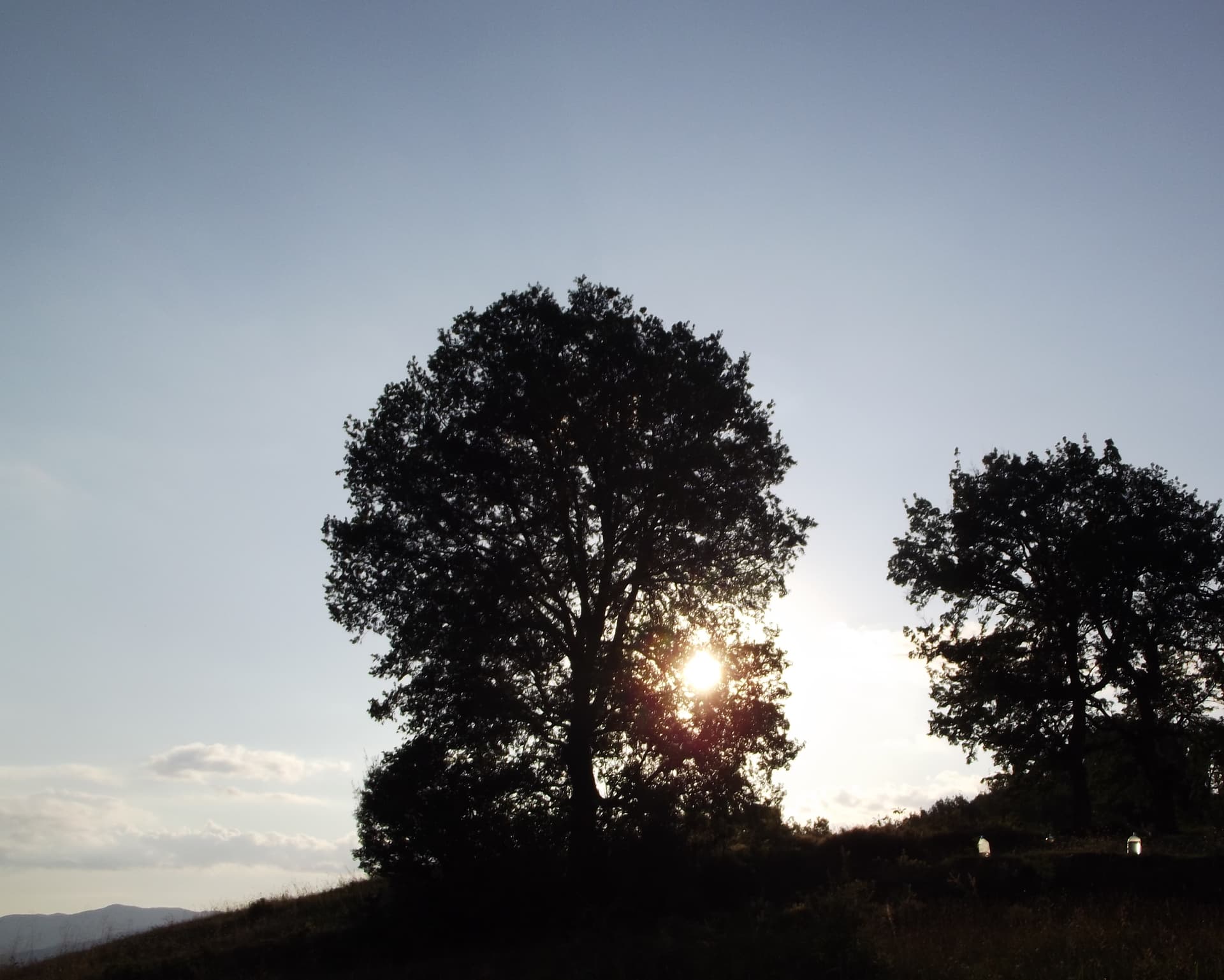 DSCF8231-01