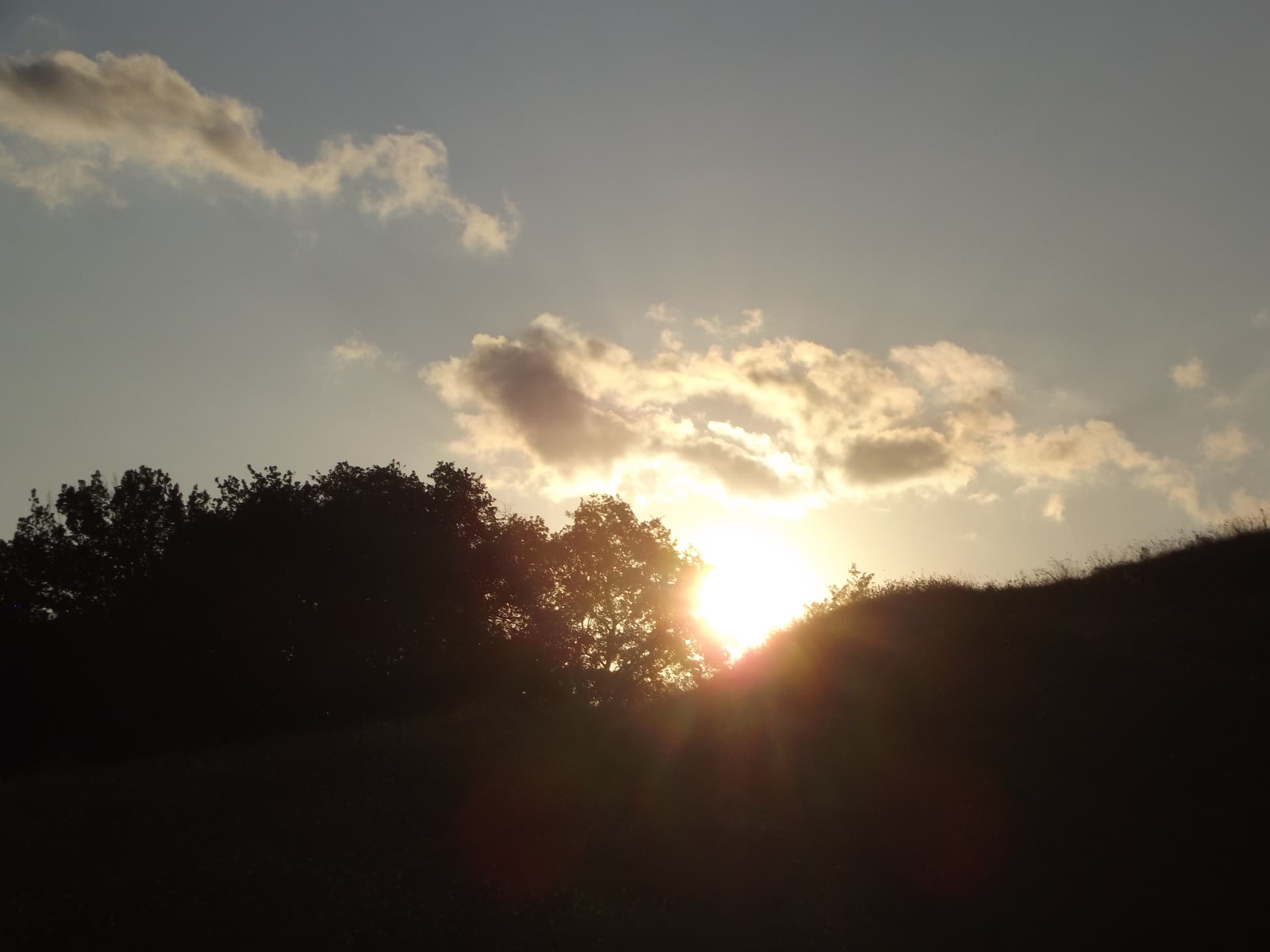 DSCF8313