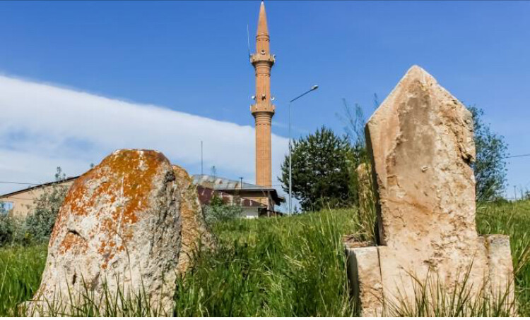 görüntü