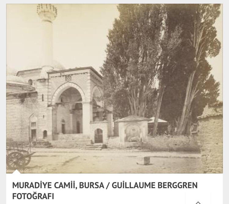 görüntü