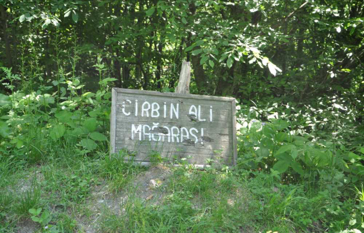 görüntü