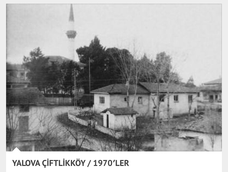 görüntü