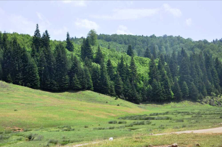 görüntü