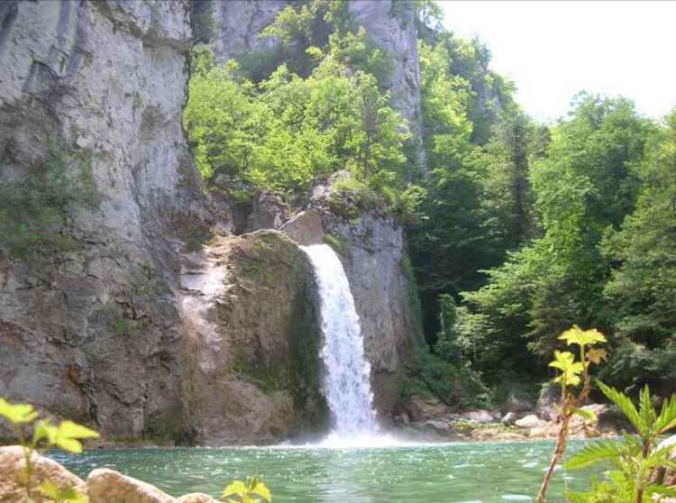 görüntü