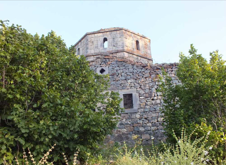 görüntü