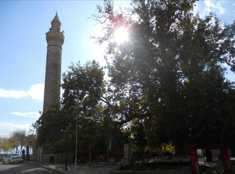 görüntü