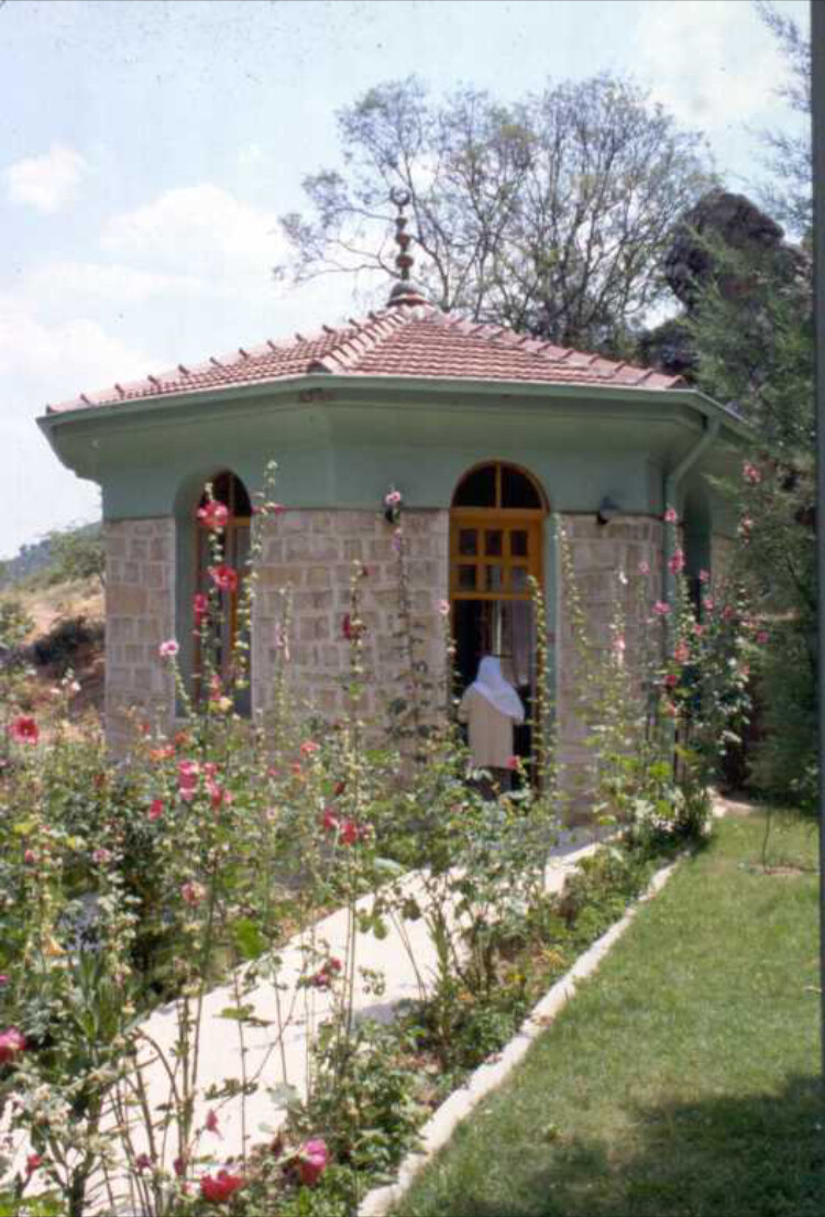 görüntü