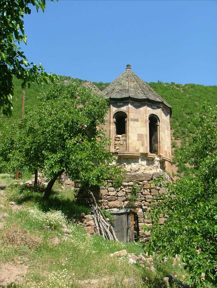 görüntü