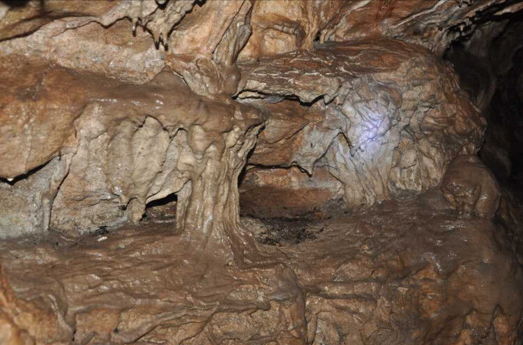 görüntü