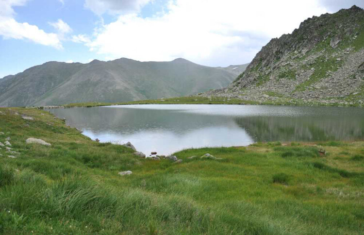 görüntü