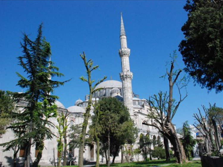 görüntü