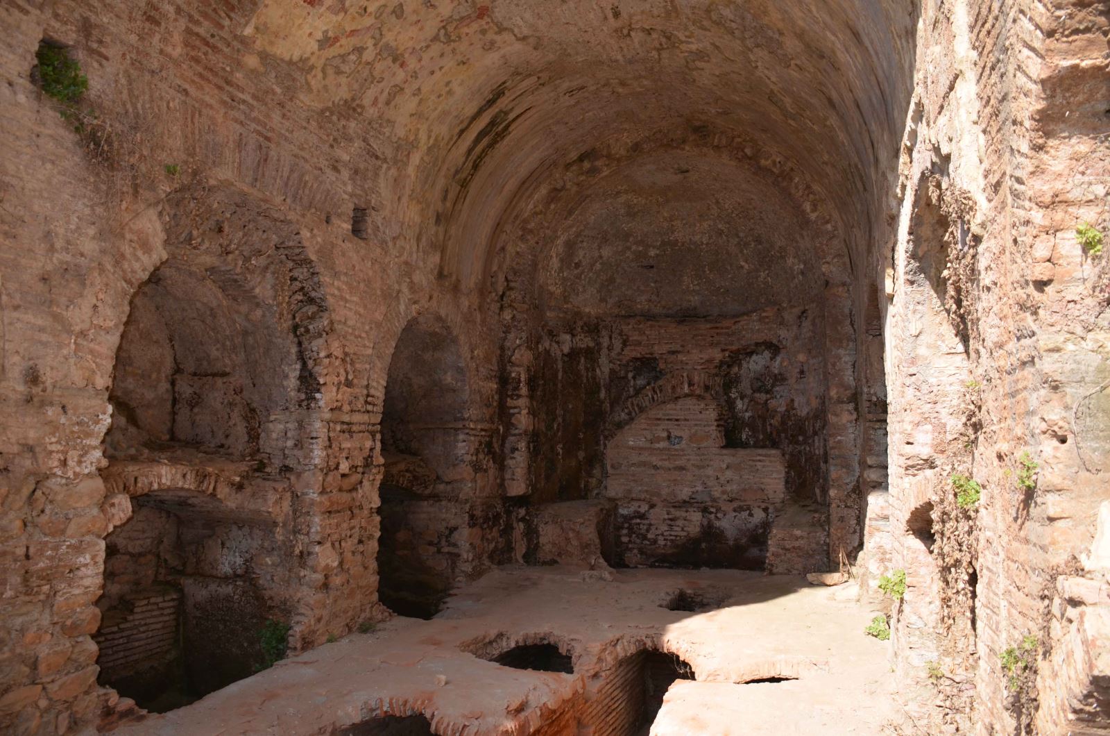 Efes Yediuyuyanlar (8)