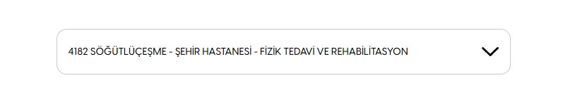 Ekran görüntüsü 2025-07-24 104950.png