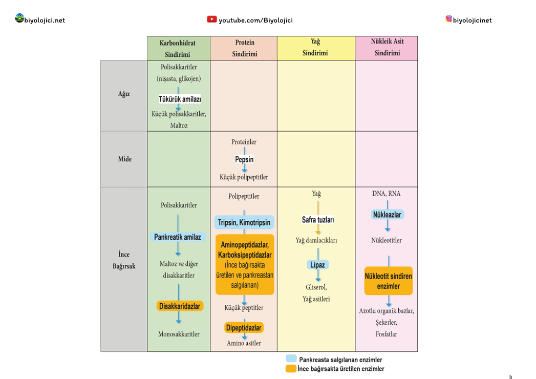 Ekran görüntüsü 2025-12-14 234954.png