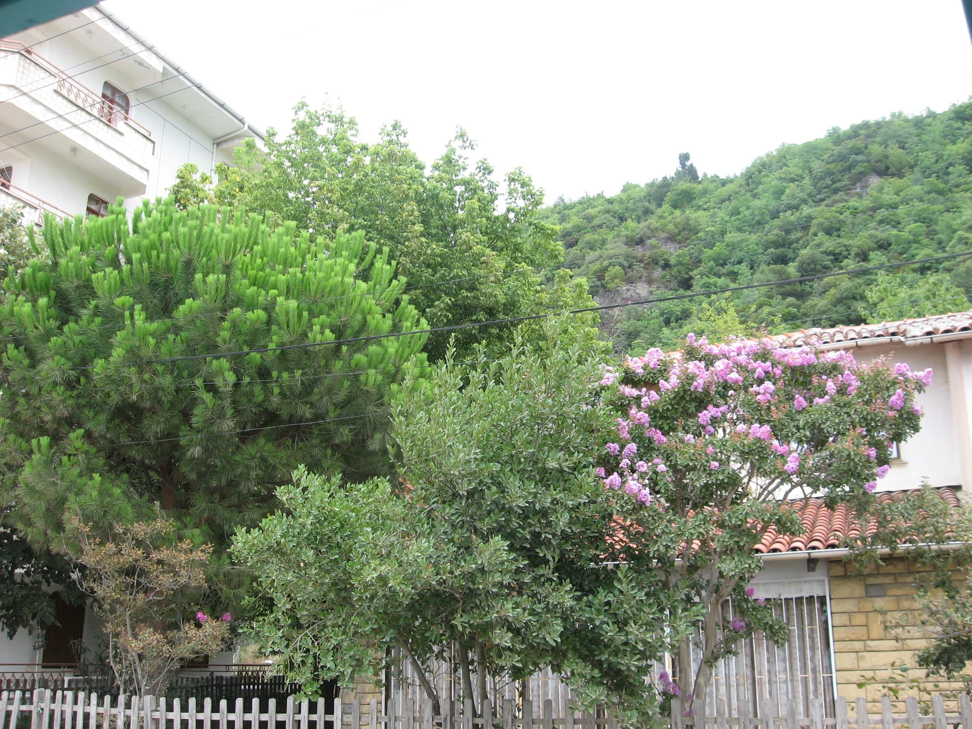 esenköy 99 (3)