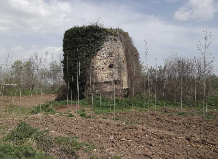 görüntü