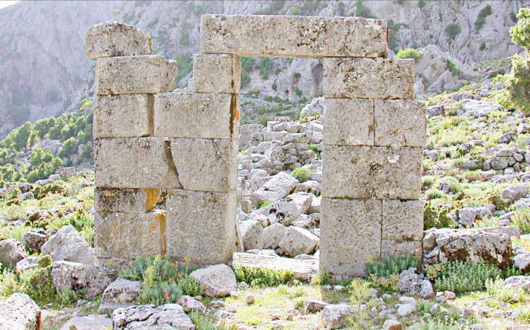 görüntü