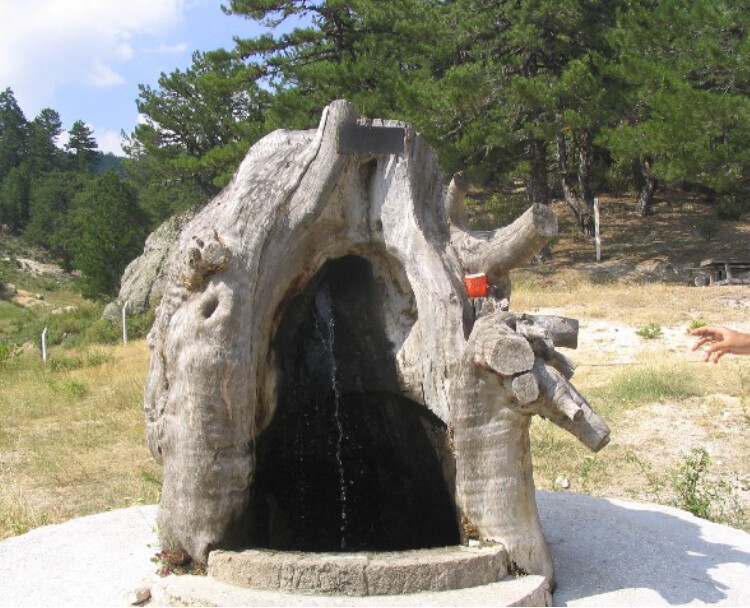 görüntü