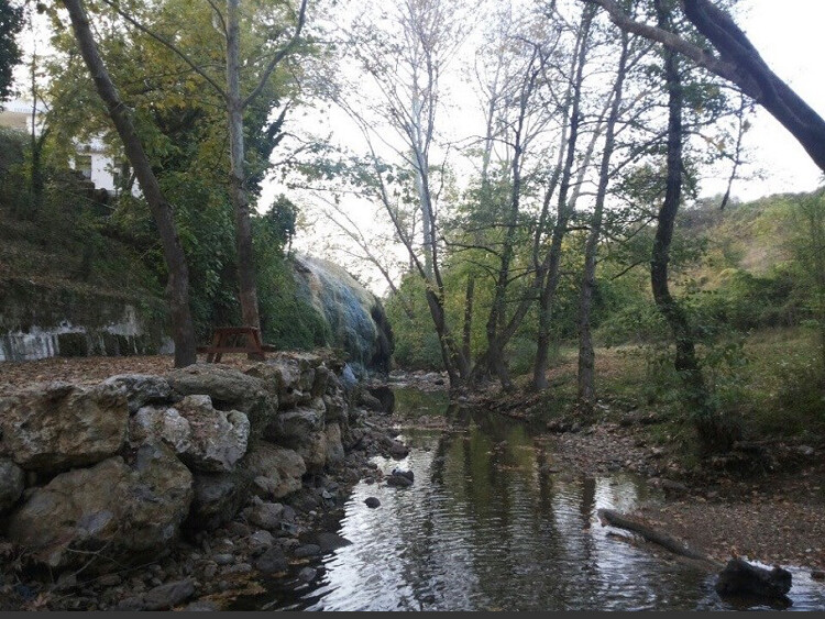görüntü