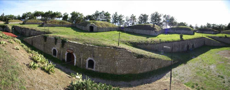 görüntü
