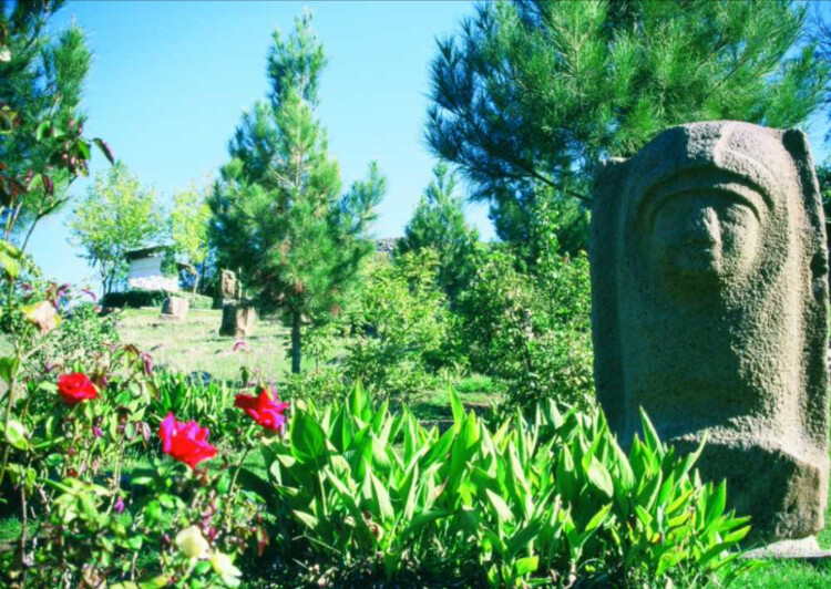 görüntü