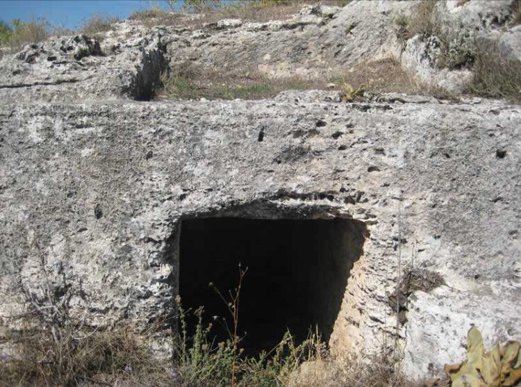 görüntü