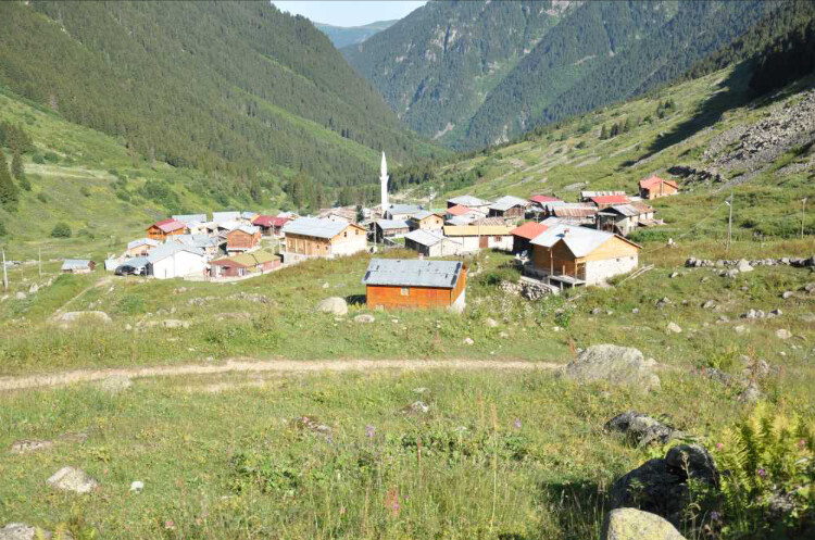 görüntü