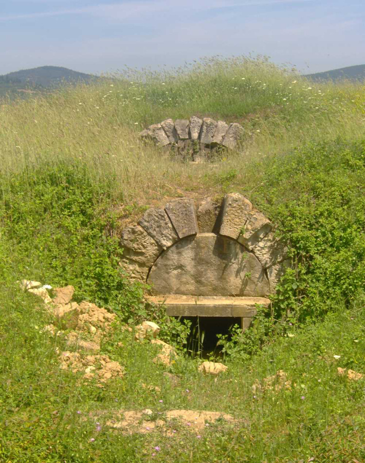 görüntü