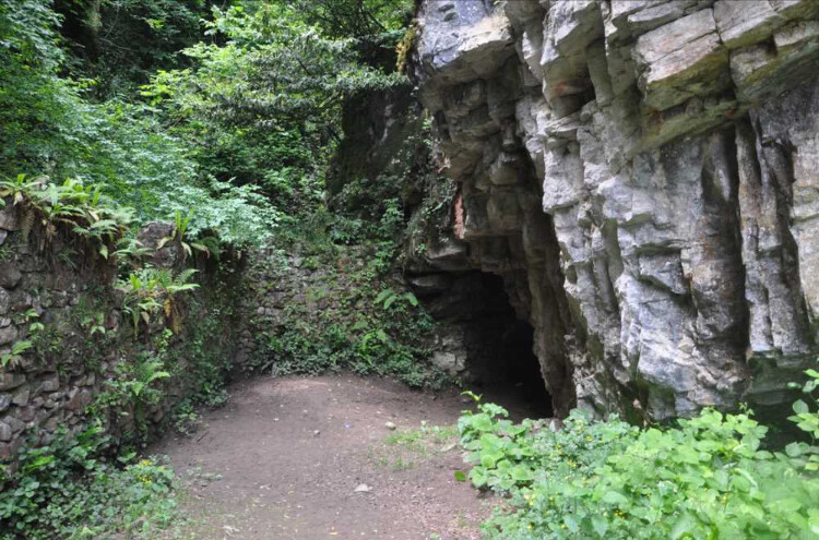 görüntü