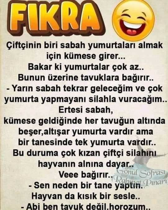 fıkra 4